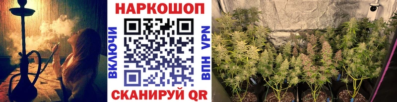 Как найти закладки Волгодонск Метамфетамин  Кокаин  Alpha-PVP  Меф  Гашиш  МАРИХУАНА 