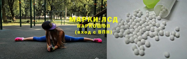 ГАЛЛЮЦИНОГЕННЫЕ ГРИБЫ Кодинск