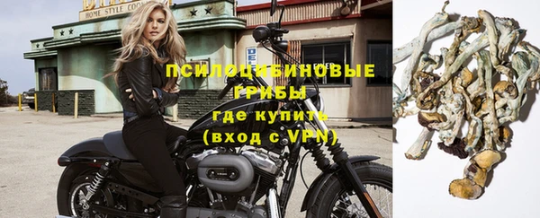 прущая мука Козельск