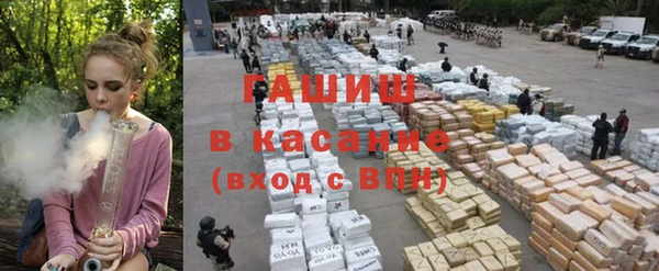 ГАЛЛЮЦИНОГЕННЫЕ ГРИБЫ Кодинск