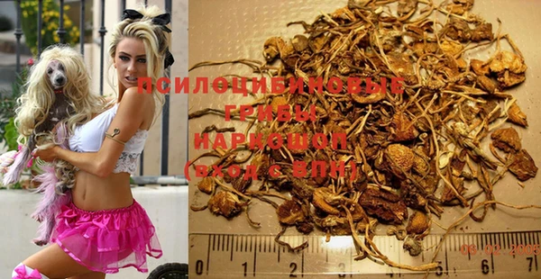 прущая мука Козельск