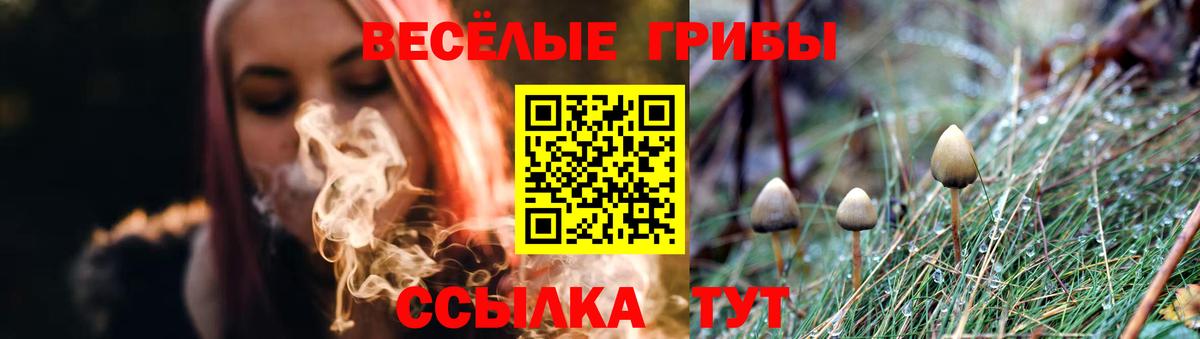 Волгодонск  Псилоцибиновые грибы Psilocybe  Галлюциногенные грибы Magic Shrooms  Вход с VPN 
